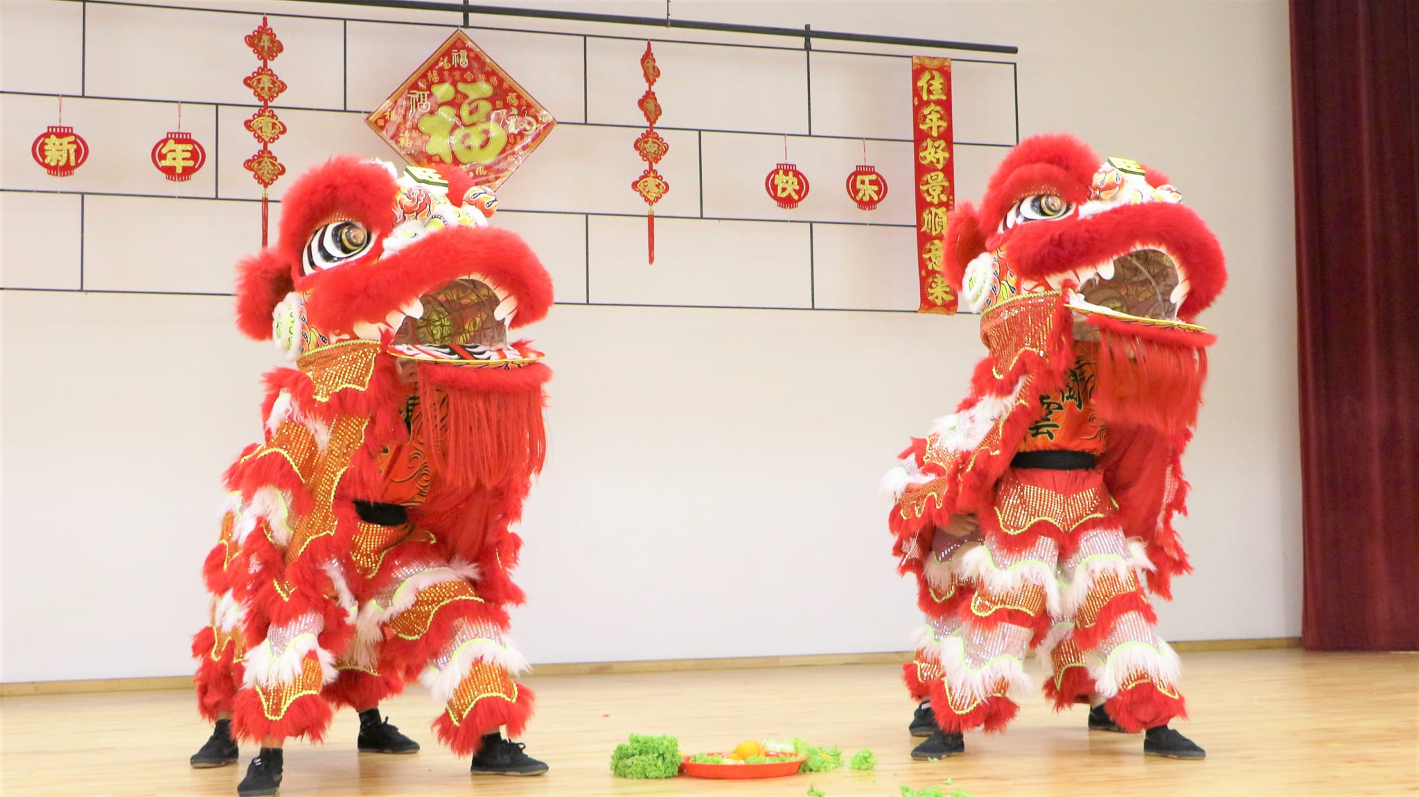 Chinese New Year Celebration